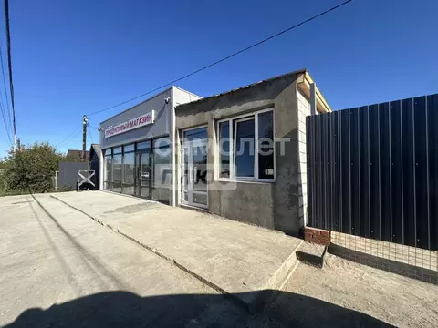 Торговая площадь в Нижегородская область, Бор Подлужная ул., 5 (100 м)