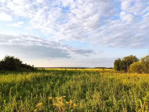 Участок в Вологодская область, Великоустюгский муниципальный округ, д. ...