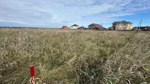 Участок в Омская область, Омский район, пос. Ростовка  (15.0 сот.)