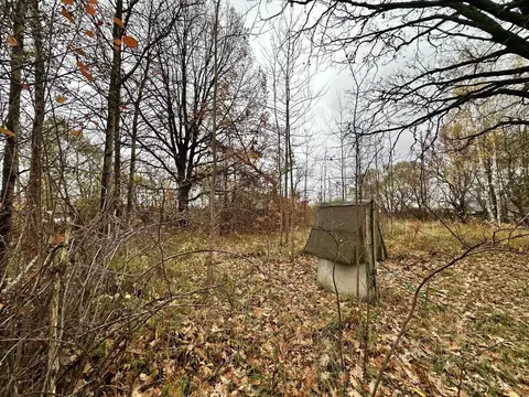 Участок в Москва Брехово хут., 16Б (9.5 сот.)