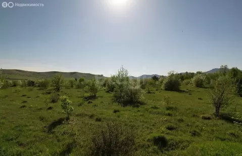 Участок в Алтайский район, СНТ Вершина Бабырган (13.43 м)