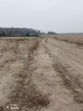 Участок в Калужская область, Жуков Стрелковка СНТ,  (9.0 сот.)