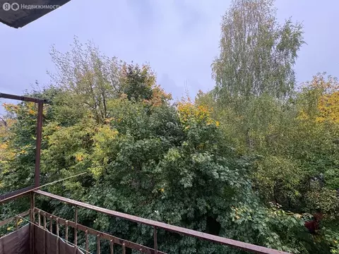 2-комнатная квартира: Пушкино, Центральный проезд, 4 (40 м)