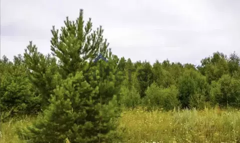 Участок в Татарстан, Лаишевский район, Егорьевское с/пос, д. Кзыл-Иль, ...