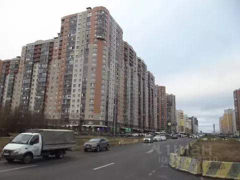 Помещение свободного назначения в Санкт-Петербург Шуваловский просп., ...