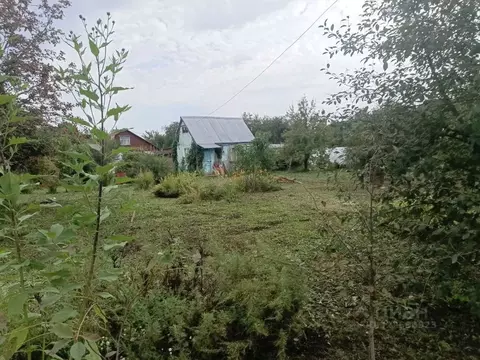 Участок в Владимирская область, Суздальский район, Новоалександровское ...