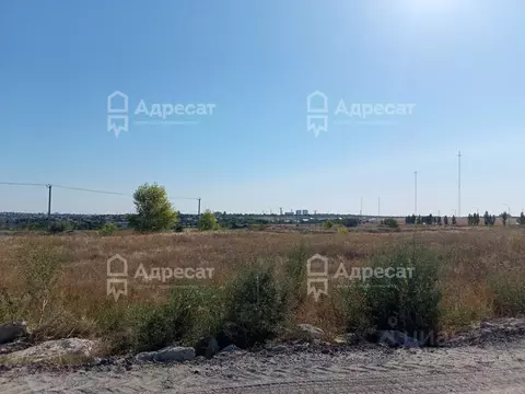 Участок в Волгоградская область, Волгоград ул. Можжевеловая (6.0 сот.)