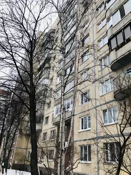 2-к кв. Санкт-Петербург Ленская ул., 17К2 (48.0 м)