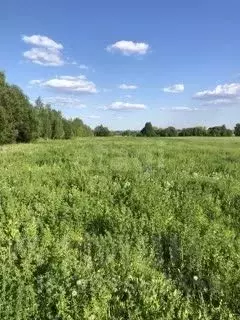 Участок в Брянская область, Брянский район, Глинищевское с/пос, с. ...