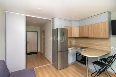 Студия Тюменская область, Тюмень Велижанская ул., 66к1 (21.2 м)