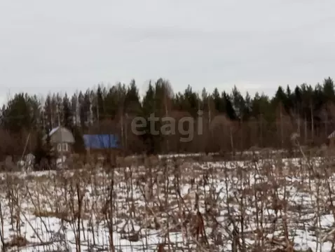 Участок в Коми, Корткеросский район, Корткерос муниципальное ...