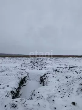 Участок в Белгородская область, Белгородский район, Головинское с/пос, ...