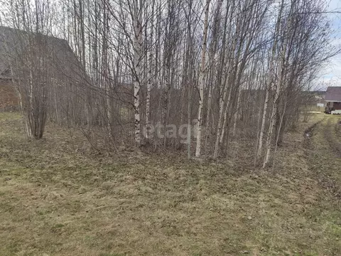 Участок в Вологодская область, д. Водогино, Садовая тер.  (14.89 сот.)