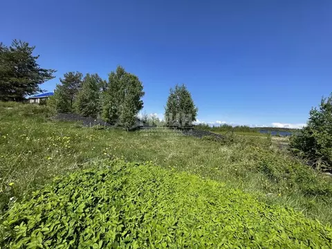 Участок в Карелия, Медвежьегорский муниципальный округ, д. Толвуя ул. ...