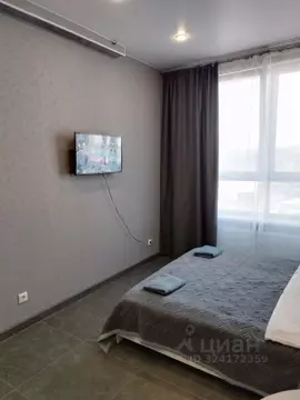 Студия Московская область, Мытищи ул. Колпакова, 44 (24.0 м)