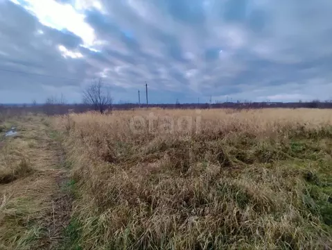 Участок в Калининградская область, Гурьевский муниципальный округ, ...