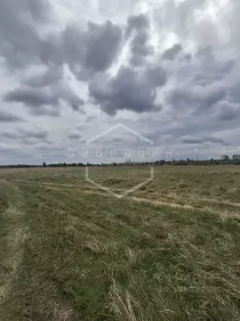 Участок в Калининградская область, Гурьевский муниципальный округ, ...