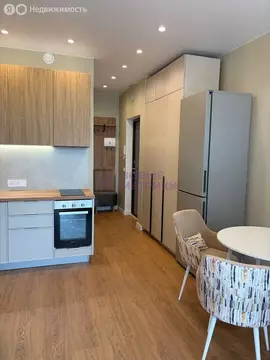 Квартира-студия: Санкт-Петербург, Планерная улица, 97к2 (22.4 м)