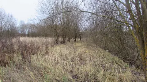 Участок в Московская область, Коломна городской округ, с. Нижнее ...