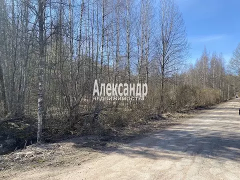 Участок в Ленинградская область, Выборг ул. Безмятежная (26.2 сот.)