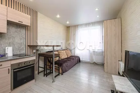 1-к кв. Новосибирская область, Новосибирск ул. Дмитрия Шмонина, 4 ...