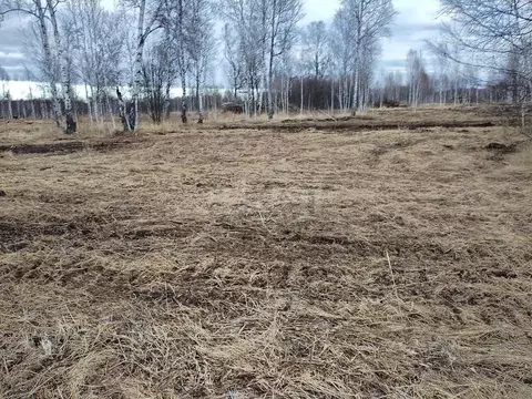 Участок в Тюменская область, Нижнетавдинский муниципальный округ, ...