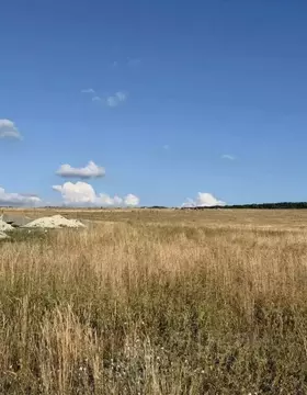 Участок в Крым, Симферопольский район, с. Чистенькое  (8.0 сот.)