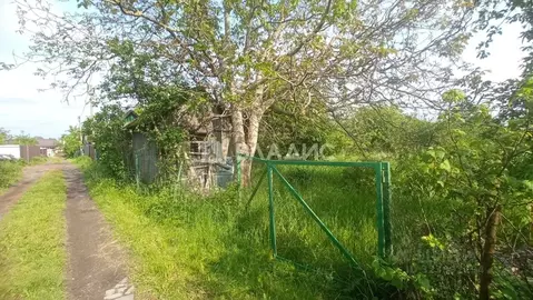 Участок в Калининградская область, Калининград Победа садовое ...