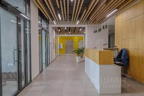 Студия Пензенская область, Пенза ул. Измайлова, 58Ак1 (23.3 м)