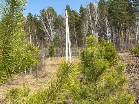 Участок в Тюменская область, Тюменский муниципальный округ, с. Княжево ...