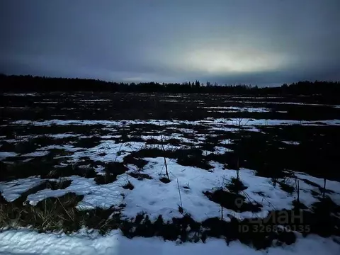 Участок в Московская область, Можайский муниципальный округ, д. ...