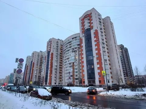 Студия Санкт-Петербург Варшавская ул., 19к2 (23.5 м)