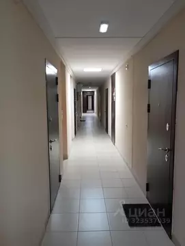 Студия Воронежская область, Воронеж Ленинский просп., 117 (27.0 м)