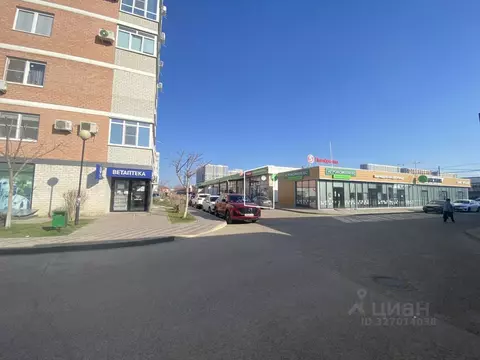 Помещение свободного назначения в Краснодарский край, Краснодар ул. ...