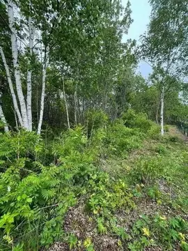 Участок в Приморский край, Надеждинский район, Коммунальник-2 СНТ  ...