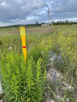 Участок в Башкортостан, Чишминский район, Лесной сельсовет, с. ...