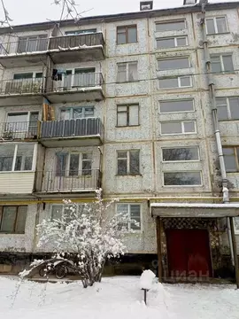 2-к кв. Ленинградская область, Сланцевский район, Новосельское с/пос, ...