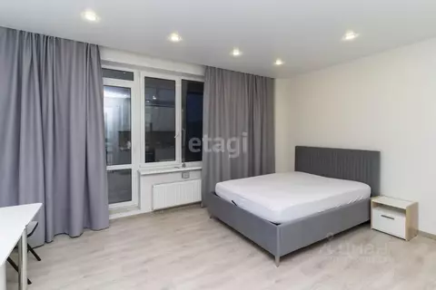 Студия Тюменская область, Тюмень ул. Николая Никитина, 8 (26.8 м)