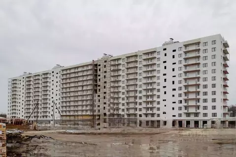 Студия Ленинградская область, Всеволожский район, Заневское городское ...