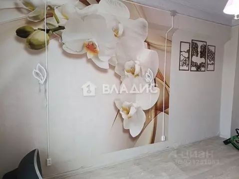 2-к кв. Карелия, Сегежский муниципальный округ, Надвоицы пгт ул. ...