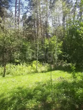 Участок в Алтай, Шебалинский район, с. Камлак  (15.0 сот.)