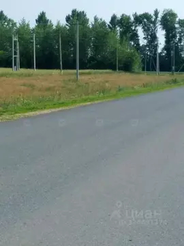 Участок в Татарстан, Лаишевский район, с. Державино  (186.0 сот.)