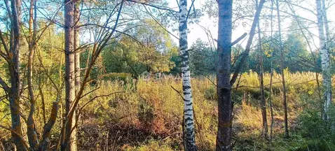 Участок в Владимирская область, Судогодский район, д. Аксеново  (18.0 ...