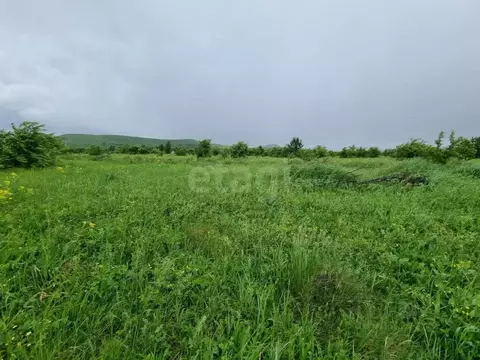 Участок в Алтайский край, Алтайский район, Айский сельсовет, с. Ая  ...