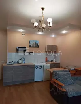 Студия Новосибирская область, Новосибирск ул. Татьяны Снежиной, 25/4 ...