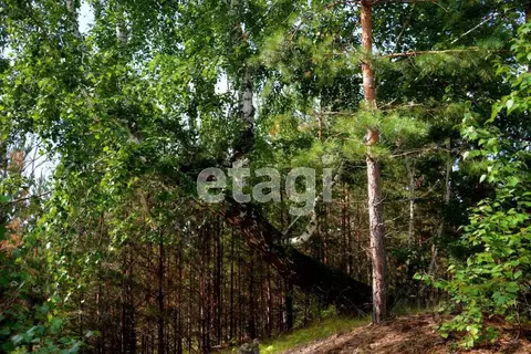 Участок в Челябинская область, Касли ул. Щорса (15.0 сот.)