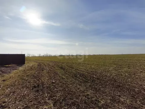 Участок в Крым, Ленинский район, Челядиновское с/пос, Военный Городок ...