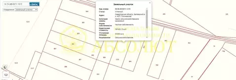 Участок в Свердловская область, Белоярский муниципальный округ (5.53 ...