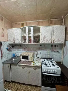 1-к кв. Курганская область, Курган ул. Бурова-Петрова, 79 (33.4 м)