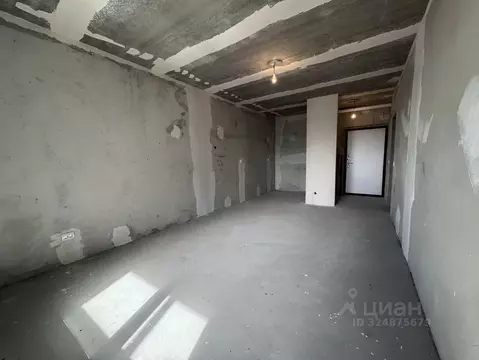 Студия Ленинградская область, Колтуши Всеволожский район, ул. Мира, 9 ...